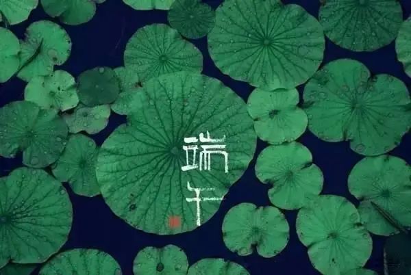 品味端午 傳承文明|滄州海固預(yù)祝您端午安康！