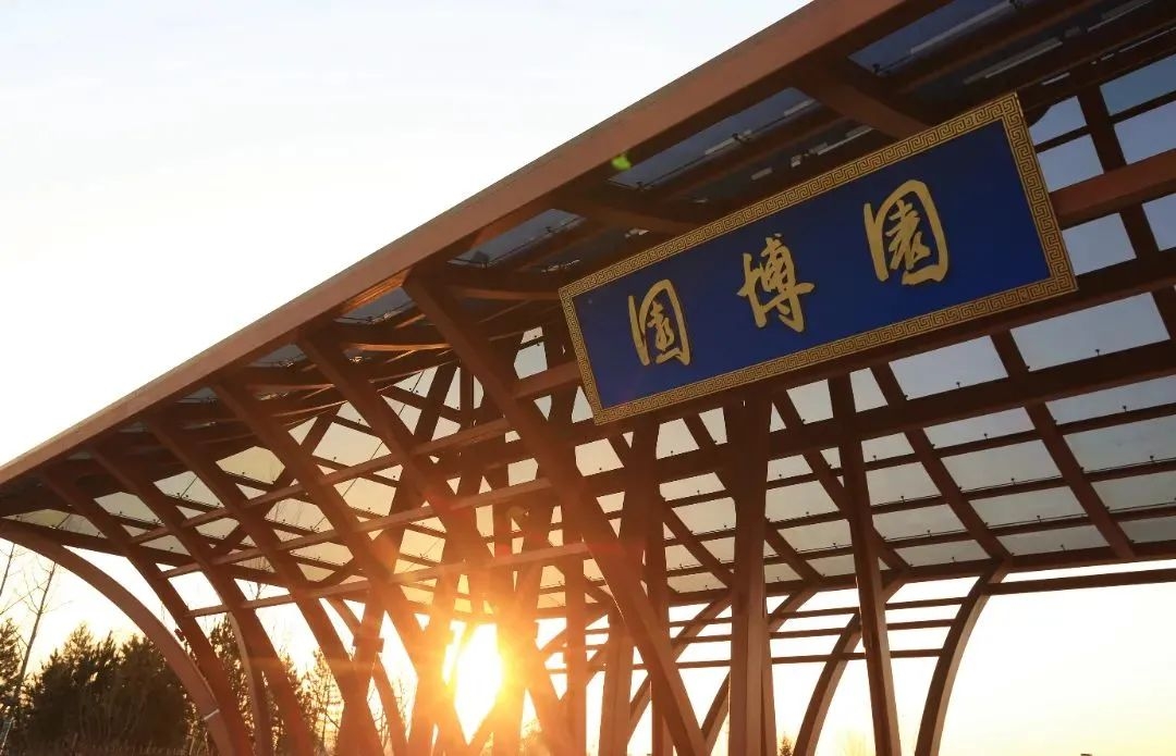 青春激昂 共創(chuàng)輝煌——滄州園博園團建活動